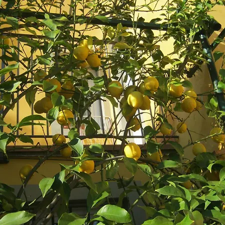 بيت للعطل Il Borgo Degli Agrumi